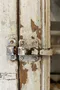 IMG_8126.jpeg