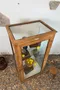 Rare vitrine de musée en chêne – vers 1900