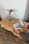 Table basse brutaliste en chêne – Années 50
