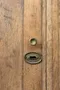 IMG_4337.jpeg