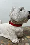 Statue en béton – Chien Westie – Années 80