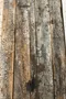 Console en bois Début XXème 