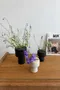 Série de 3 vases vintage Mobach