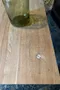 Table basse en châtaignier  Début XXème