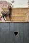 Armoire art populaire peinte en noir