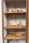 Ancienne vitrine de magasin – XIXe siècle