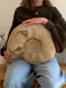 Grande ammonite fossilisée – Jurassique
